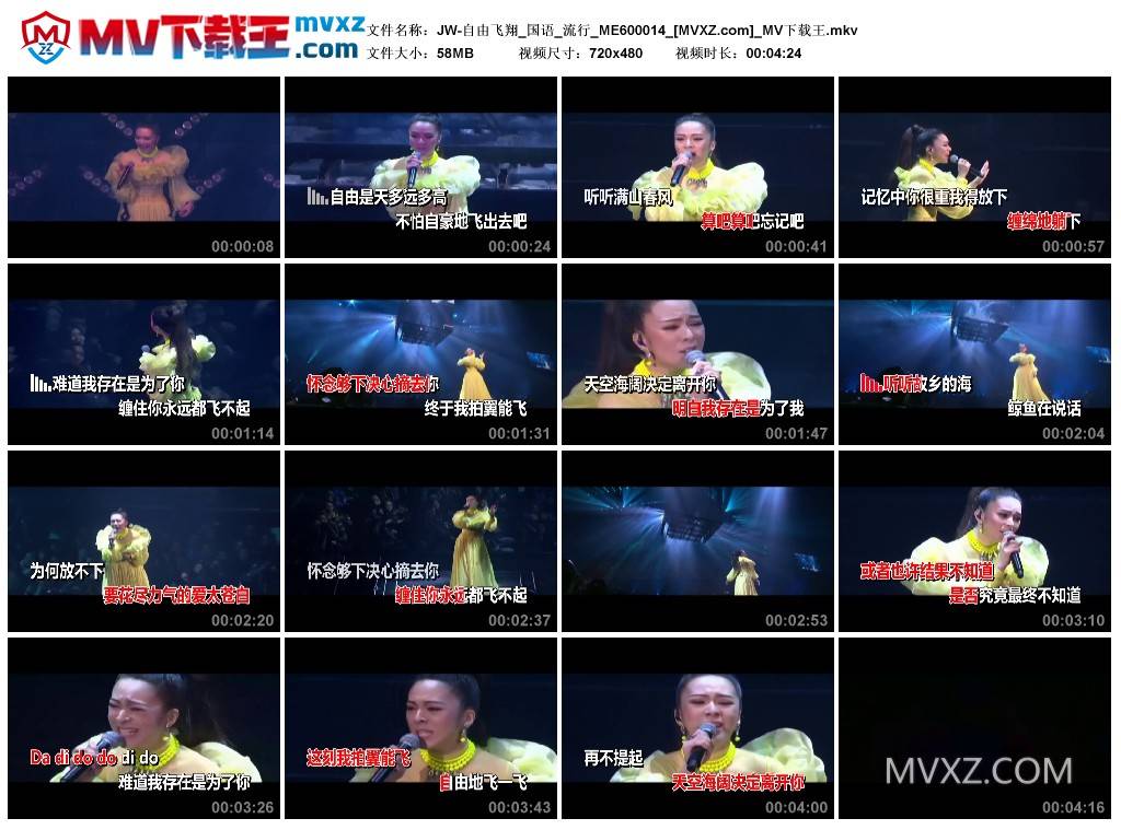 JW-自由飞翔_国语_流行_ME600014